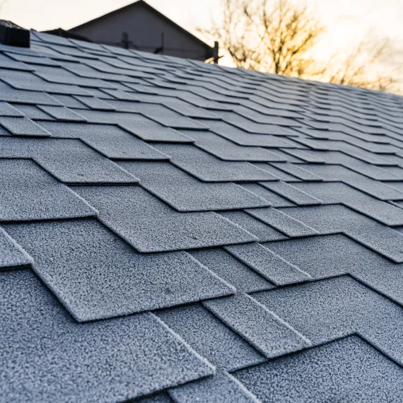 Residential Shingle Roofing